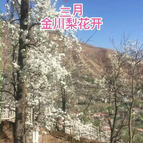 川藏行（三）金川-甲居藏寨（3月22日）