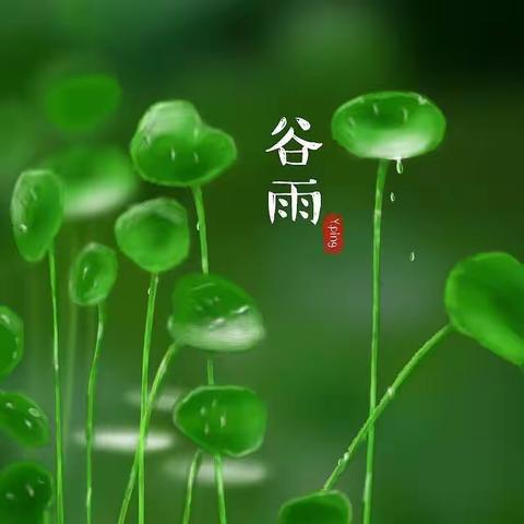 【新实  云码云学】谷雨知时节，文化润童心---新城实验学校小麦宝居家学习（十六）