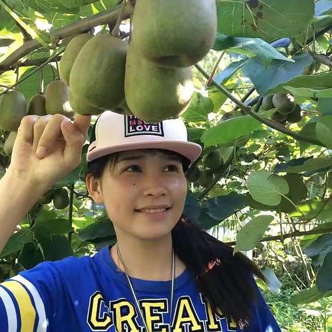 茂园 ❤猕猴桃成熟季