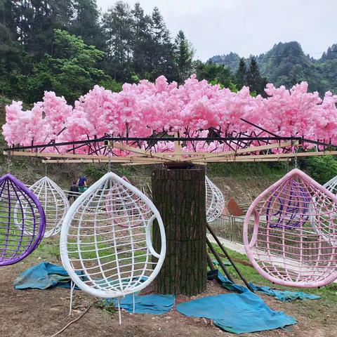 五一欢乐  与您共享