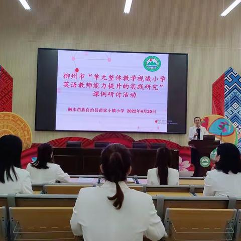 学无止境，砥砺前行——苗家小镇小学英语教师网络培训会