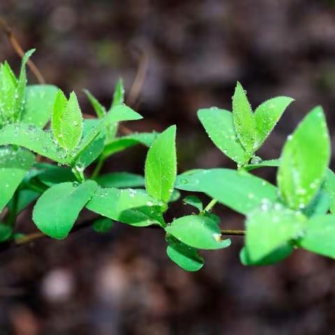 传承文化精粹 培育厚德人才——东营区中小学传统文化教师专题培训活动简报（三）