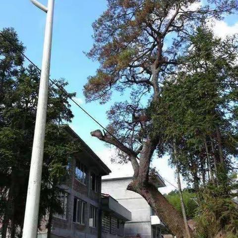 西岙涌泉寺、仙翁洞