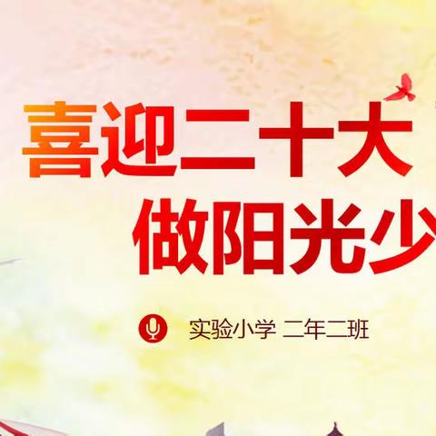 喜迎二十大，做阳光少年