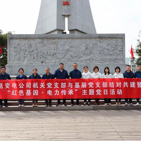 江西送变电公司机关党支部联合基层党支部开展党团共建活动