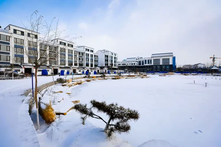 桃园东方雪景