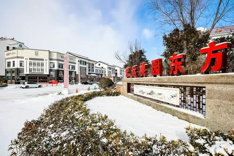 桃园东方雪景