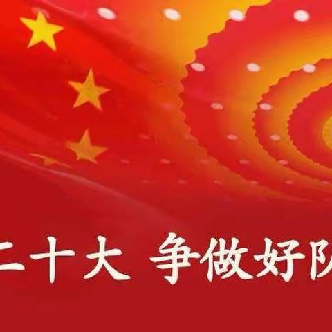 学习二十大  争做好队员