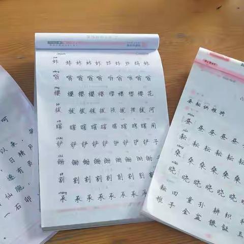 异彩纷呈展特色 别样作业话寒假 ——卫庄小学小学五一班寒假特色作业展评