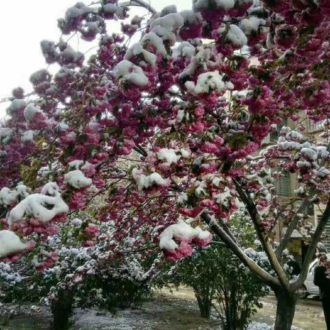 踏青时节