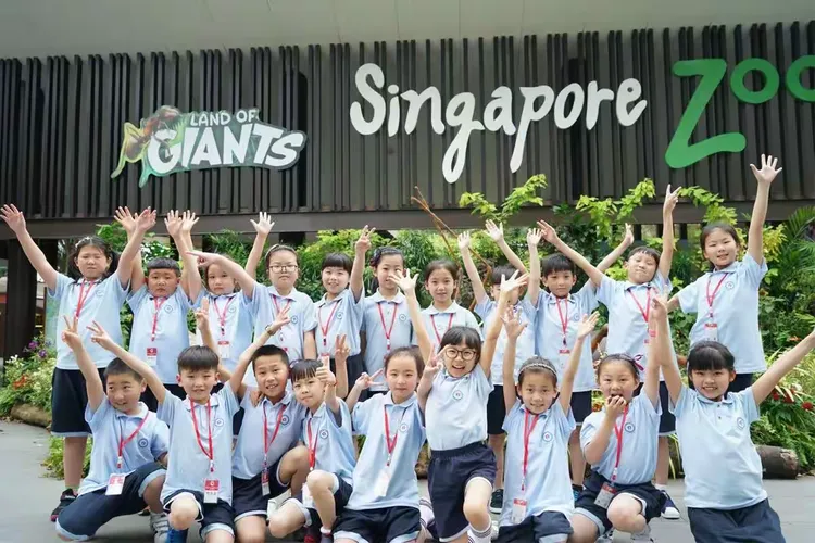 304班张之夏的新加坡游学之旅