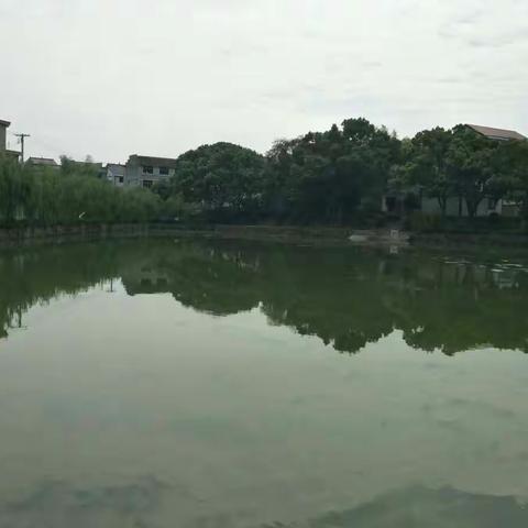 西章村全面打响环境卫生整治攻坚战