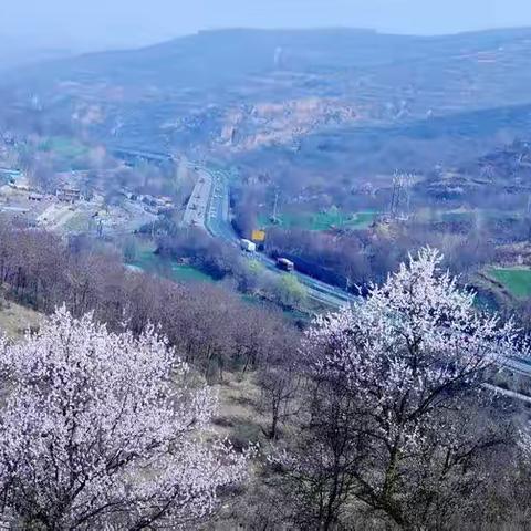 清明节：祭祖·赏春·欢聚