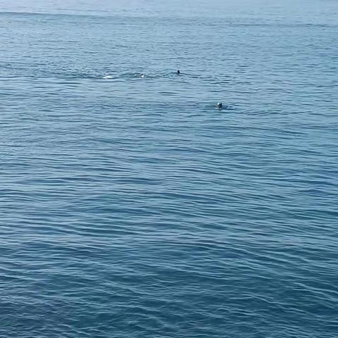 夏日旅游之青岛篇