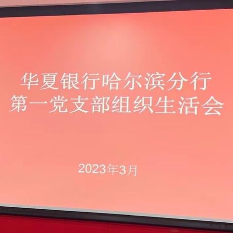 华夏银行哈尔滨分行第一党支部召开组织生活会并开展民主评议党员