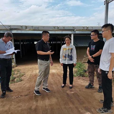 区委常委、统战部部长杜梅英到甲子镇调研乡村振兴工作