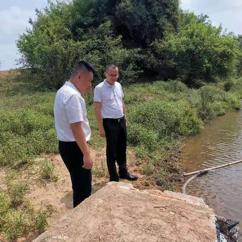 琼山区委副书记覃俊深入巡崖河（甲子段）开展巡河工作