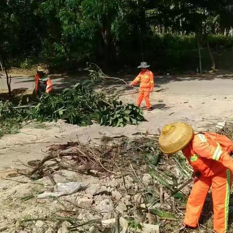 长沙玉诚5月31日南岛区域每日工作情况