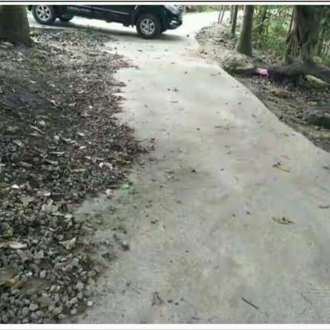 第62期暗访督察图片情况