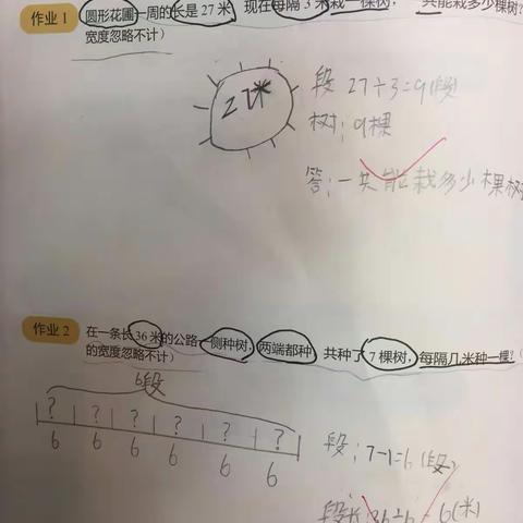 树的学问