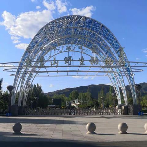 大青山野生动物园