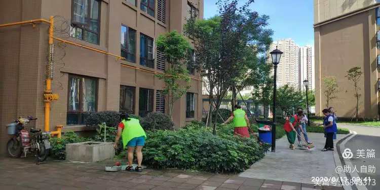 小区绿化草坪价格每平米多少