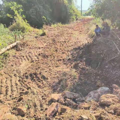 玉龙村持续推进人居环境整治