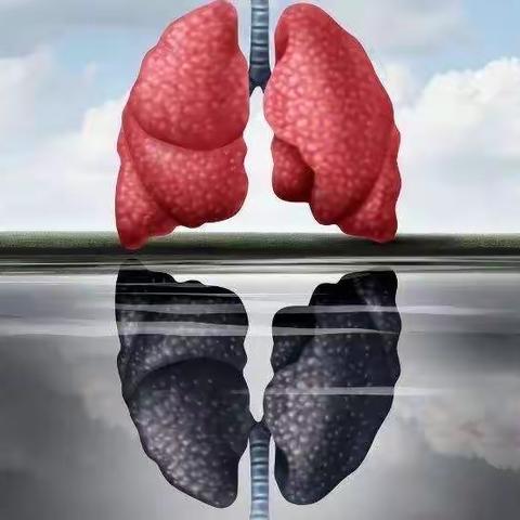 胸外科预康复之患者篇