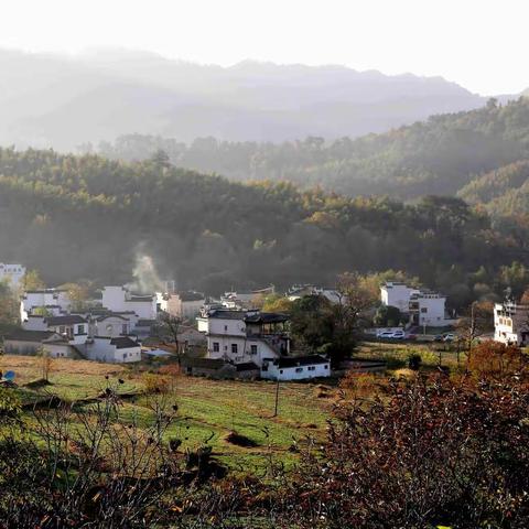 塔川（11月10日）