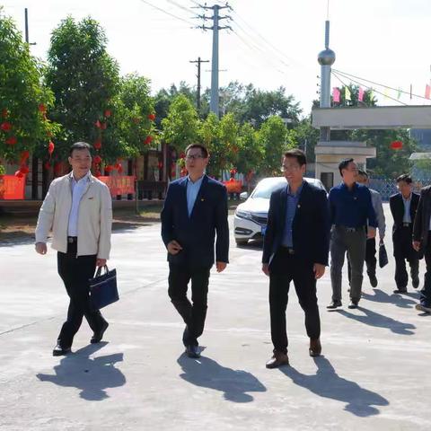 提高义务教育教学质量   办人民满意教育——港南区委教育工作委员会“不忘初心、牢记使命”主题教育调研
