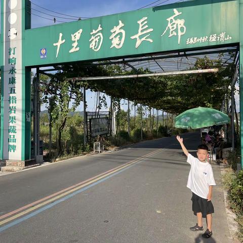 柳城小学“2022你好，暑假”一（2）班严梓恒之参观葡萄园