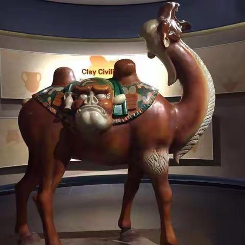 上宝鸡，去研学    73   王婧怡