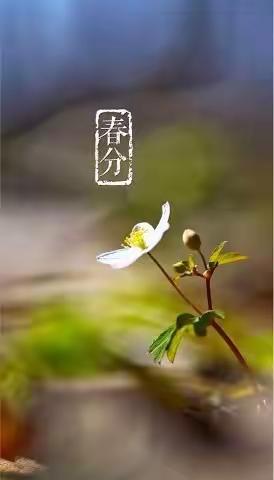 24节气—春分
