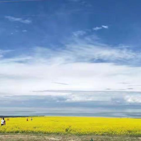 忆青海湖之旅