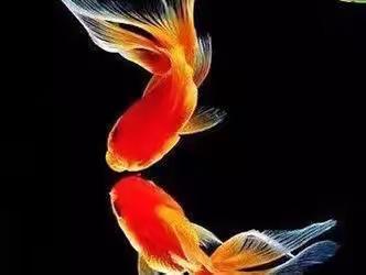 民间顺口溜，句句是精华！