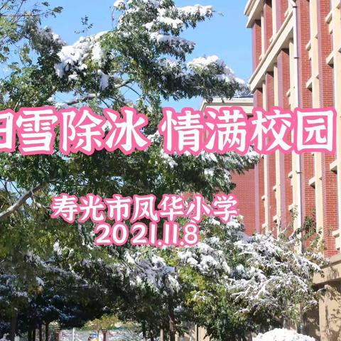 【凤华小学党支部】扫雪除冰 情满校园——寿光市凤华小学开展扫雪除冰活动