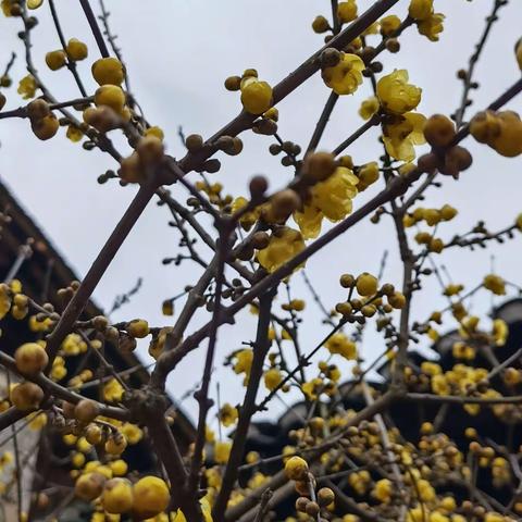 2021年洪江市瑜伽协会年会活动