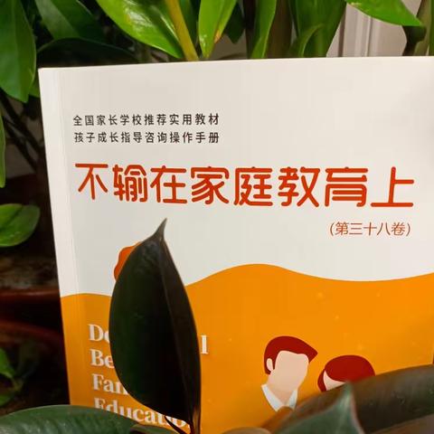 不输在家庭教育上第三十八卷《孩子被欺凌，要打回去吗》