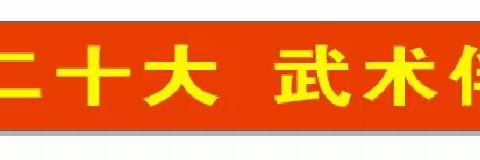 “学习二十大~武术伴我行”金华市金东区武术协会赤松分会