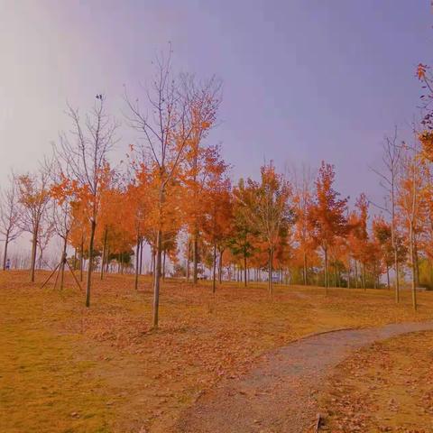 这些迷人的秋色，真是太美了，让我们一起来分享这个迷人……。