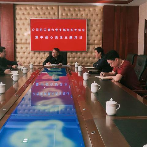 公司机关第六党支部召开组织生活会前集体谈心谈话主题党日