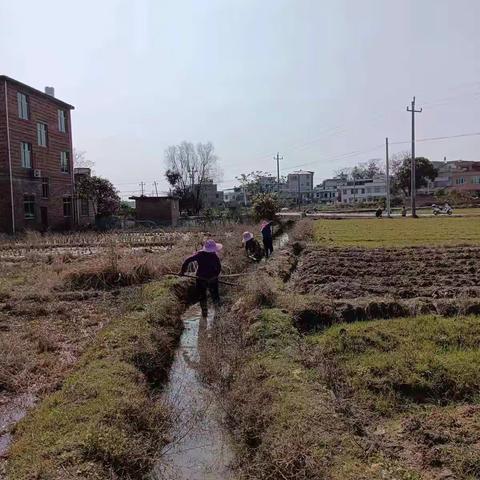 开展清圳修圳活动