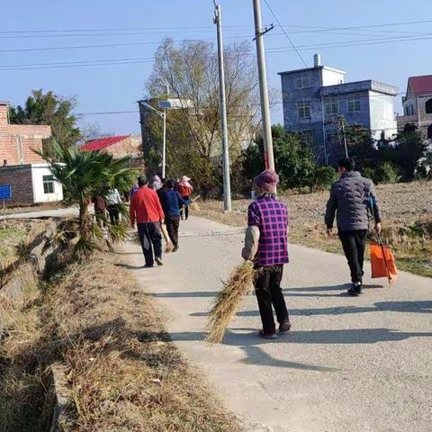 开展人居环境整治