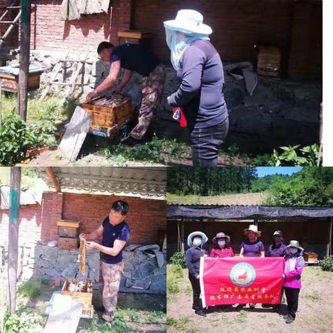 学党史 悟思想 强服务 办实事 解难题