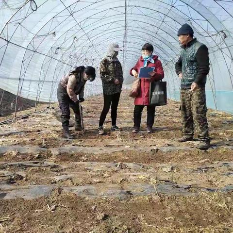 抚顺县农服中心“学雷锋 在行动”——推进乡村振兴发展