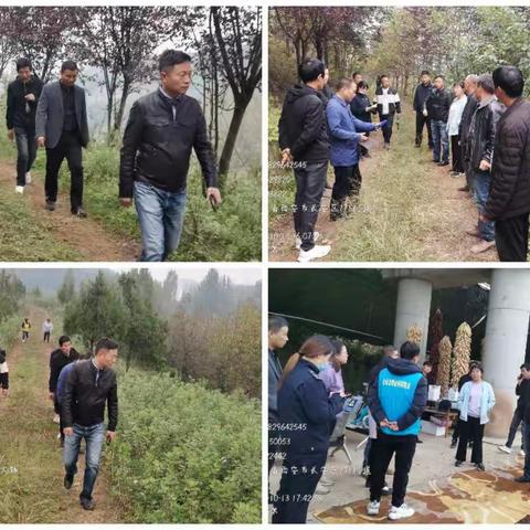 严厉重击“巧立明目”破坏秦岭生态