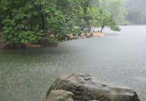 遐想 夏雨中