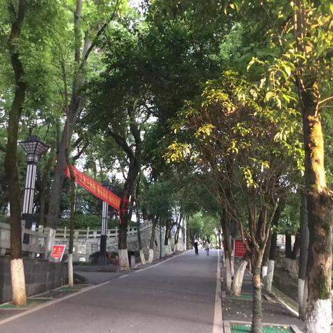 《乡韵》主题学习实践课程——237班实践活动