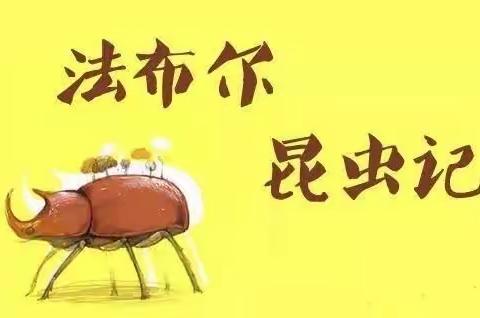 相约云上，共沐书香——寿光市凤华小学《昆虫记》读书分享