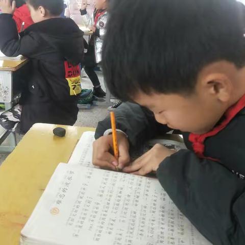 立足课堂，绽放精彩——记葛源枫林小学公开课活动